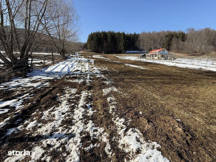 Teren de 4521 mp, în Valea Doftanei