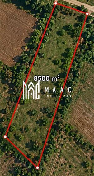 Teren agricol extravilan de 8500 mp, în Daia