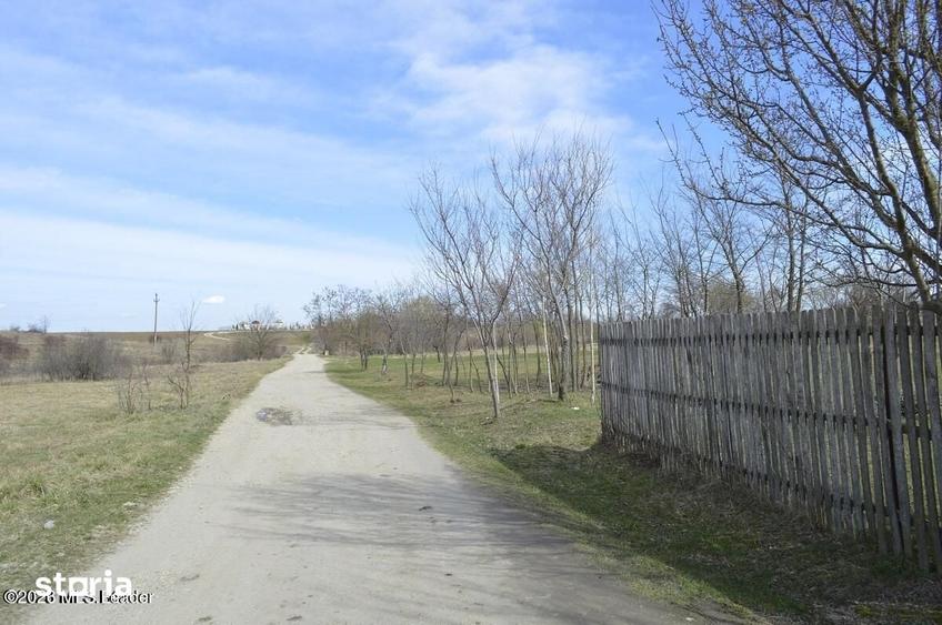 Teren de 4000 mp, în Suseni