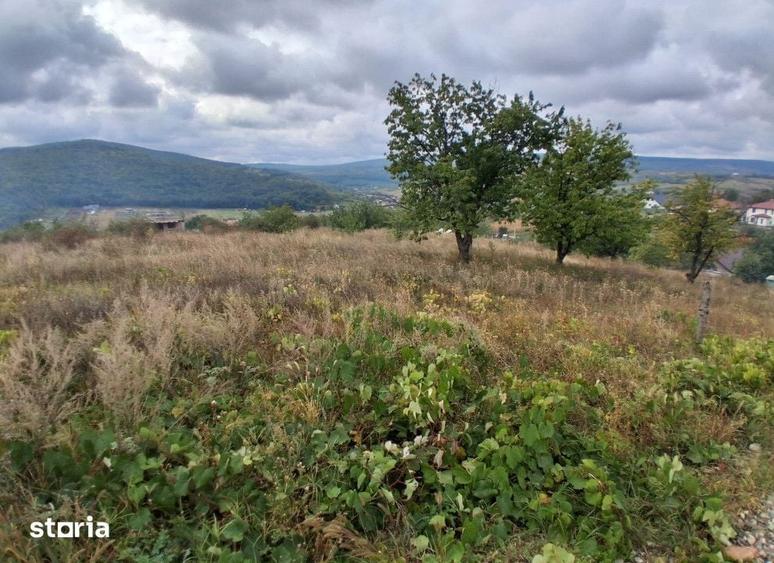 Teren de 463 mp, în Tomești