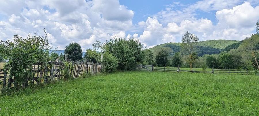 Teren de 4950 mp, în Vama Buzăului