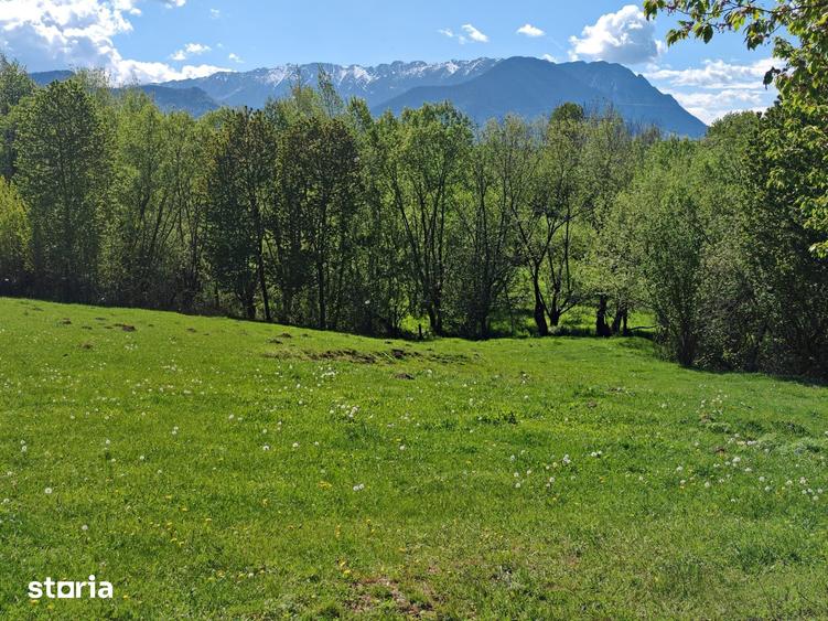 Teren de 5967 mp, în Glăjărie