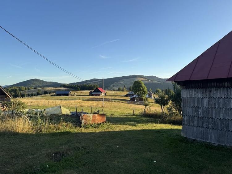 Teren de 15000 mp, în Poienița