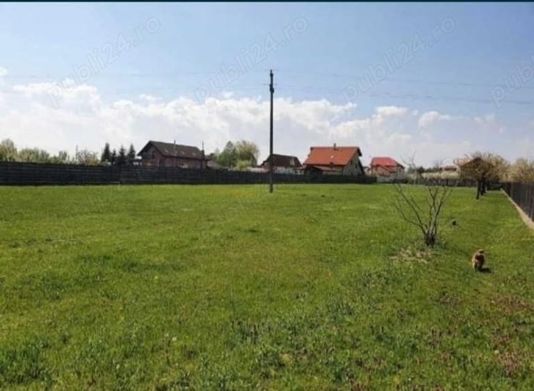 Teren de 6000 mp, în Nord