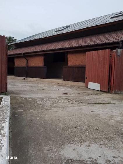 Vand casa P+M, Contesti DB ( Proprietar ) - 4