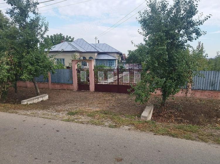 Casă cu Teren 4000 Mp în Calopăr