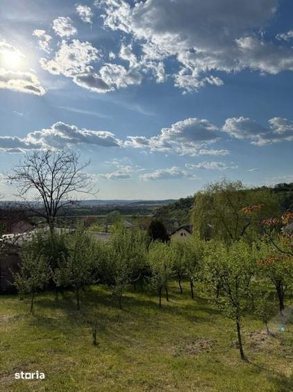 Teren Intravilan 730 mp Valea Mare, Stefanesti, Arges - 4