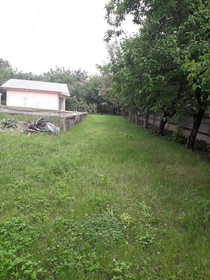 Teren de 1150 mp, în Central