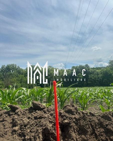 Teren agricol intravilan de 1296 mp, în Gușterița
