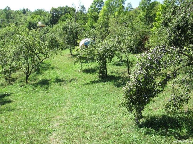 Teren de 4000 mp, în Drăgăneasa