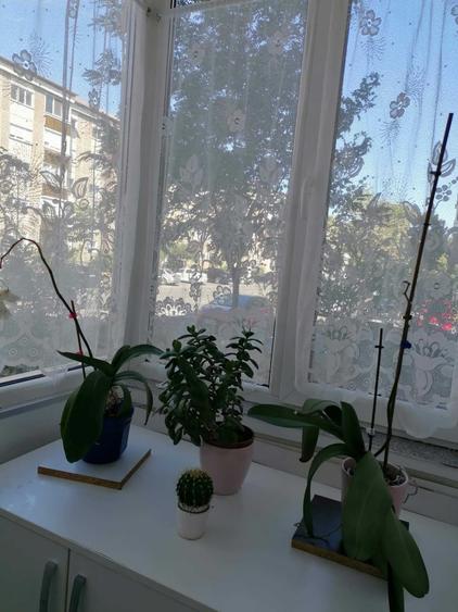 Apartament cu 2 camere decomandat în Exterior Vest