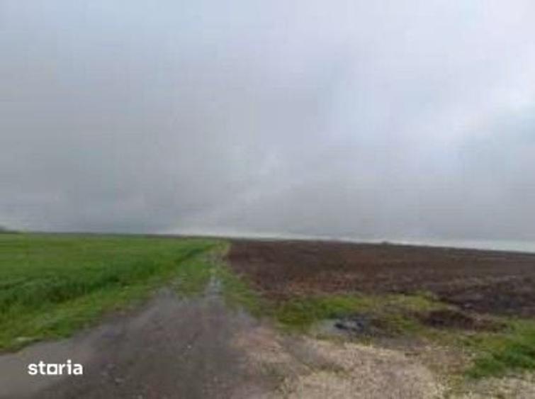 Teren de 32600 mp, în Deleni