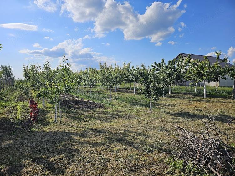 Casă cu Teren 1405 Mp în Sâmbăteni