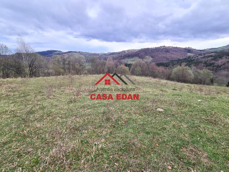 Teren extravilan de 20500 mp, în Valea Doftanei