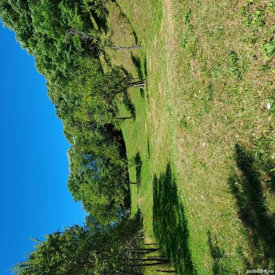 Teren de 3800 mp, în Arefu