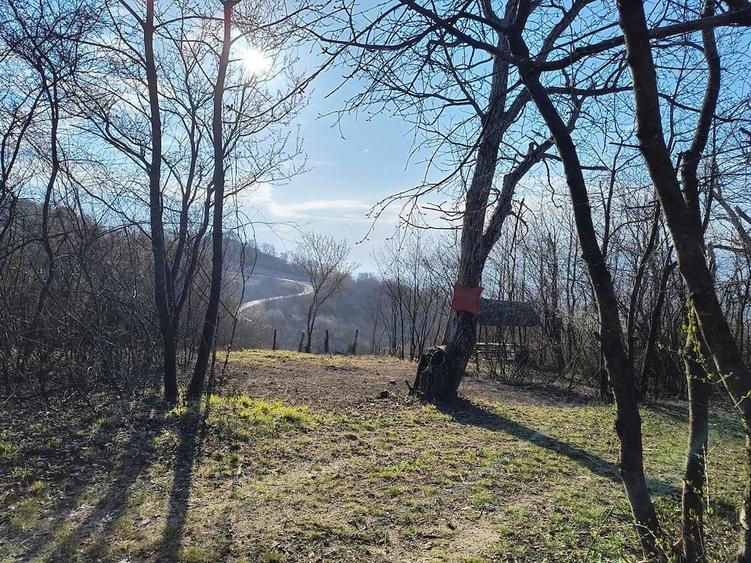 Teren de 500 mp, în Cristian