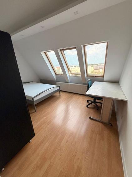 Apartament cu 3 camere în Dosu Bricii