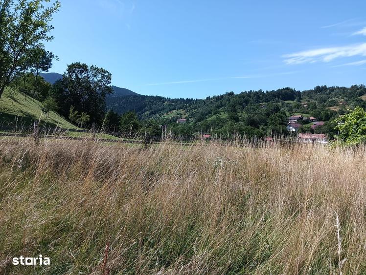 Teren de 3980 mp, în Bran