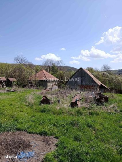 Teren 5300mp + Casa modesta si anexe, SanPaul, sat Sumurducu, jud.Cluj