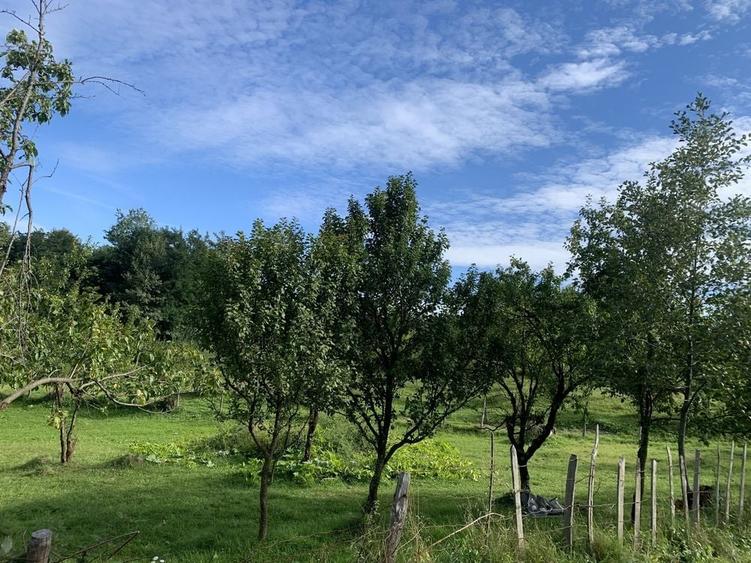 Casă cu 3 camere cu Teren 1128 Mp în Vârfuri