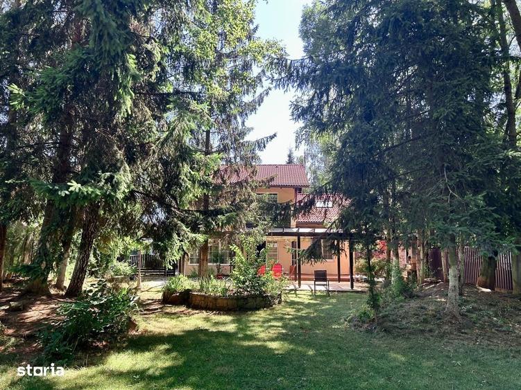 Resedinta 5 camere, cu Padure Privata, Paradisul Verde, teren 1735mp - 3