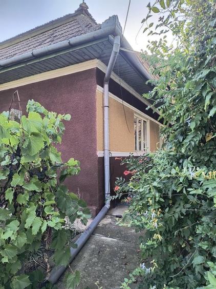 Casă cu 2 camere în Sânger
