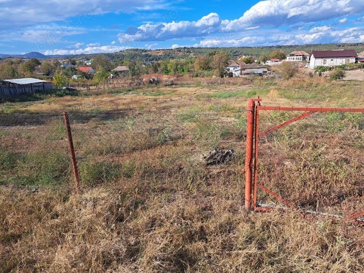 Teren de 5000 mp, în Vrancea