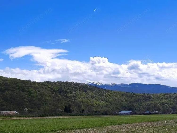Teren de 784 mp, în Periferie