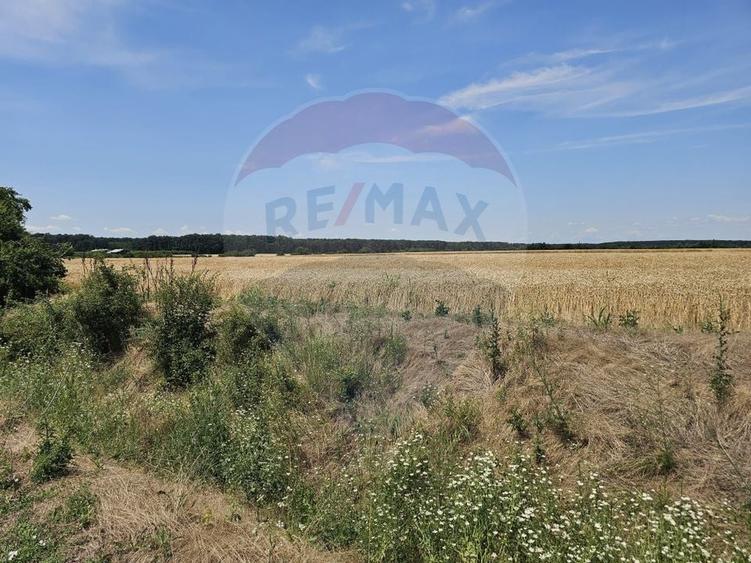Teren Construcții intravilan de 750 mp, în Periferie