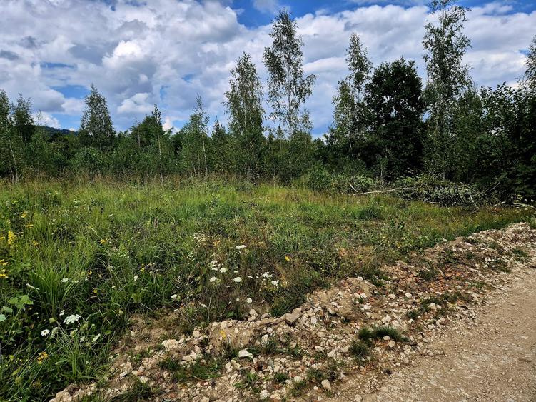 Teren agricol extravilan de 3182 mp, în Șinca Nouă