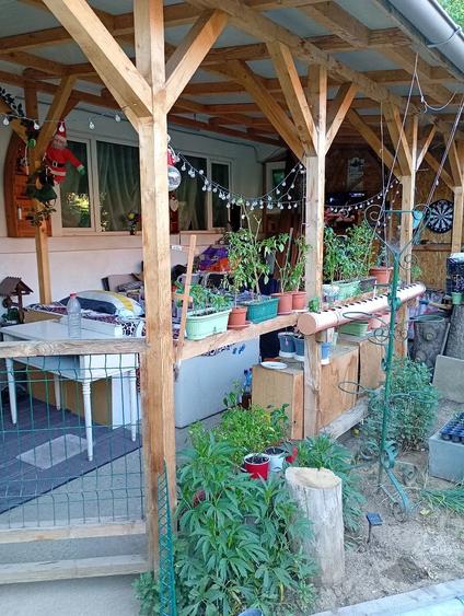 Casă cu Teren 120 Mp în Colentina