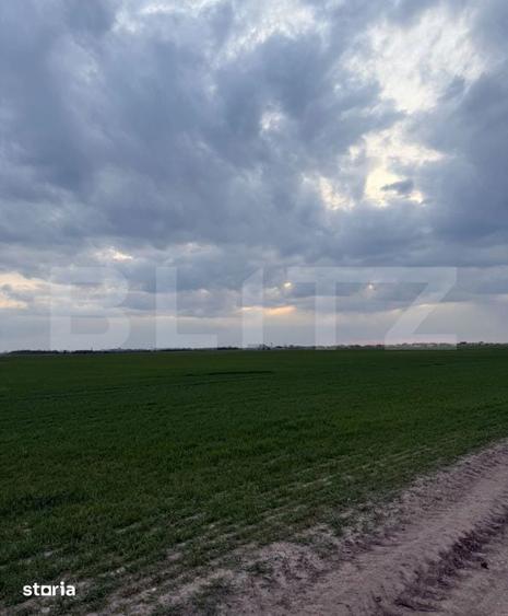 Teren de 500 mp, în Galicea Mare