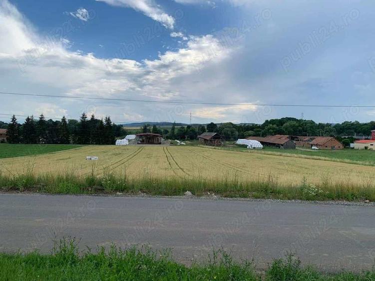 Teren de 10000 mp, în Arcuș