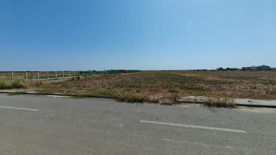 Teren Construcții intravilan de 15000 mp, în Dragomirești-Vale