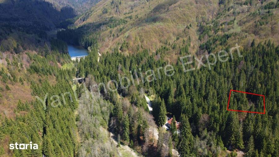 Teren de 983 mp, în Nucșoara