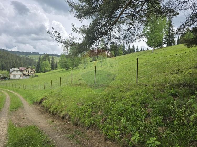 Teren agricol extravilan de 5034 mp, în Iacobeni