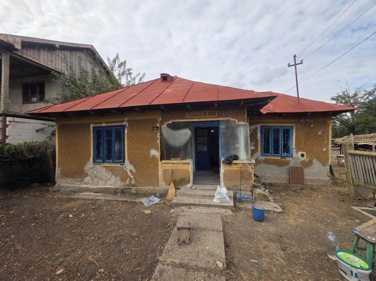 Casă individuală cu 3 camere cu Teren 4116 Mp în Mandra