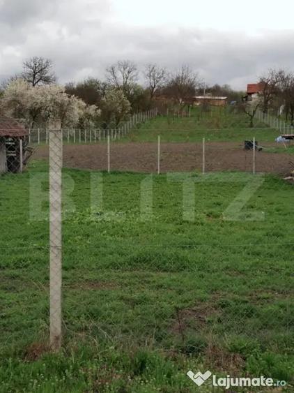 Teren de 3000 mp, în Călărași