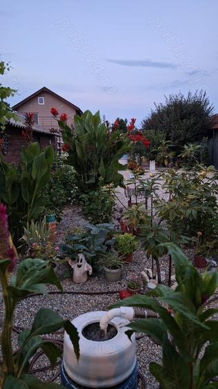 Casă cu 6 camere cu Teren 1412 Mp în Palazu Mare
