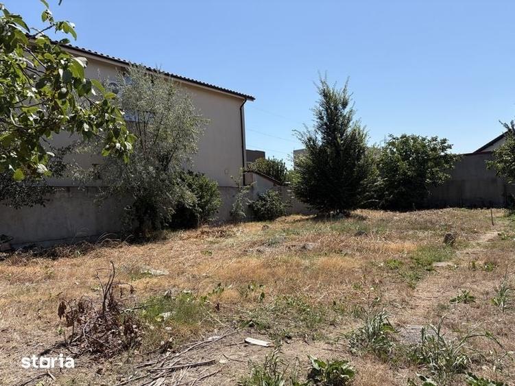 Teren 500 mp kamsas / baba novac / primo / compozitori - 6