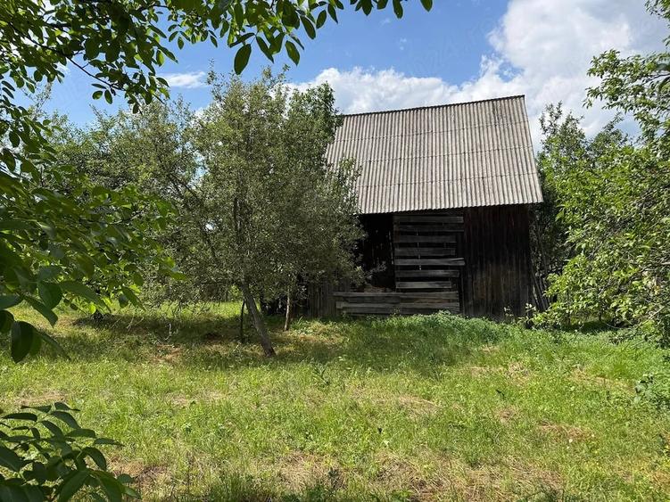 Casă cu Teren 6500 Mp în Dretea