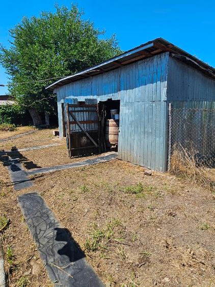 Casă individuală cu 5 camere cu Teren 2974 Mp în Albești-Paleologu