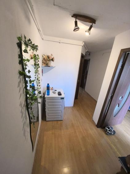 Apartament cu 2 camere decomandat în Timișu de Jos