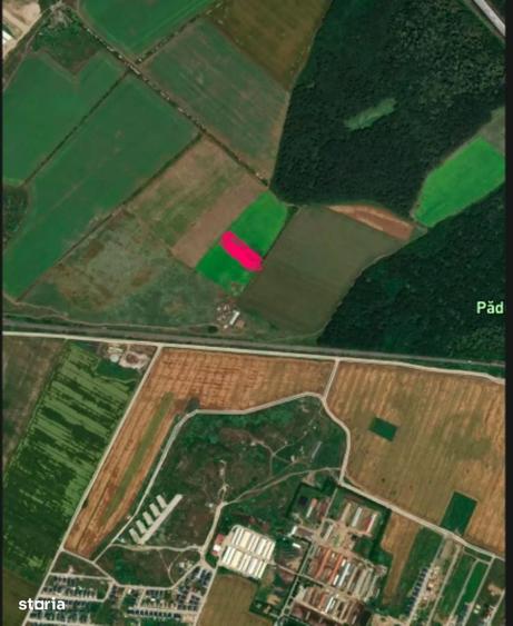 Teren Intravilan | 5000mp | Dobroest-Gara Pantelimon | 25 Eur / mp - 1