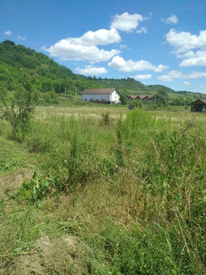 Teren agricol intravilan de 900 mp, în Livezeni