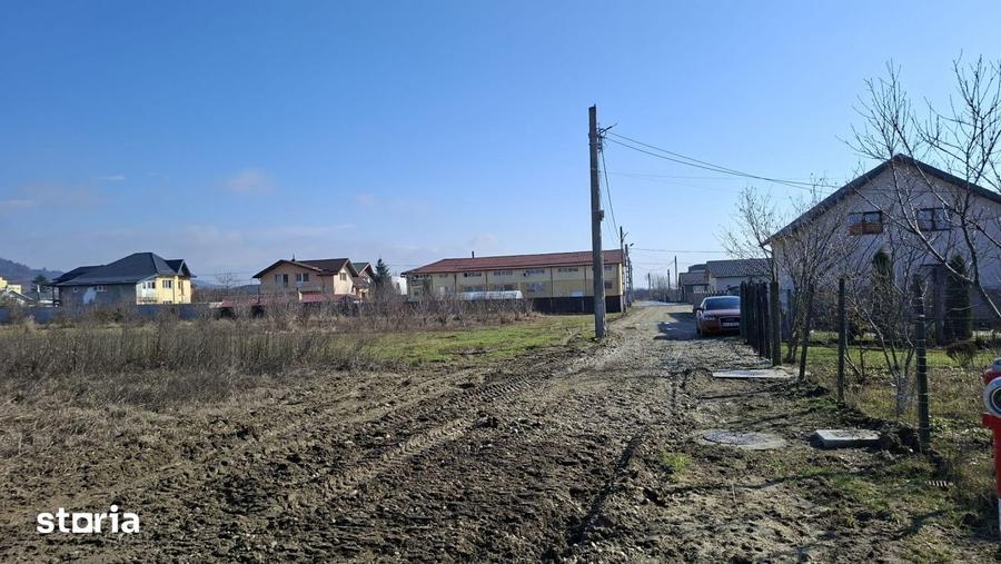 Teren de 3633 mp, în Ștefănești