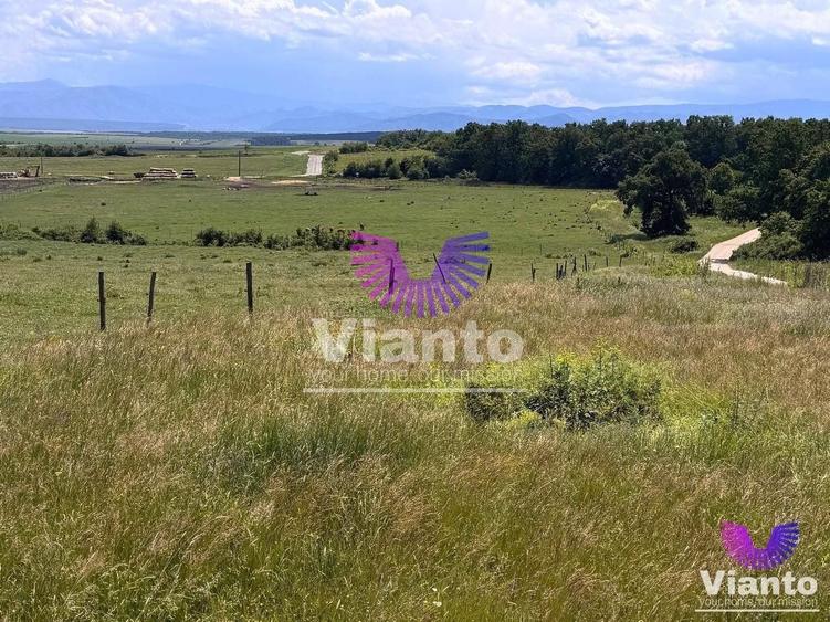 Teren Construcții intravilan de 582 mp, în Șura Mică