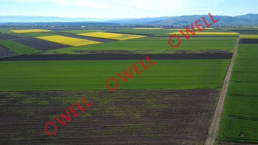 Teren extravilan de 68800 mp, în Sântionlunca