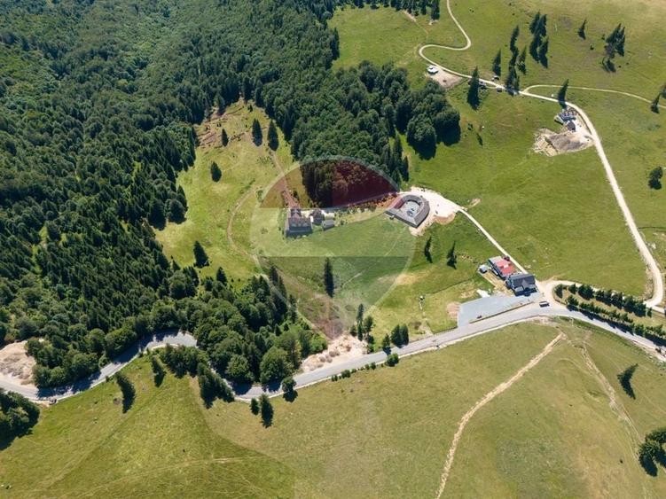 Teren agricol extravilan de 52519 mp, în Dâmbovicioara