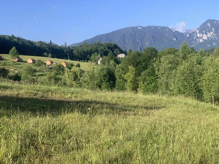 Teren de 4069 mp, în Poiana Mărului